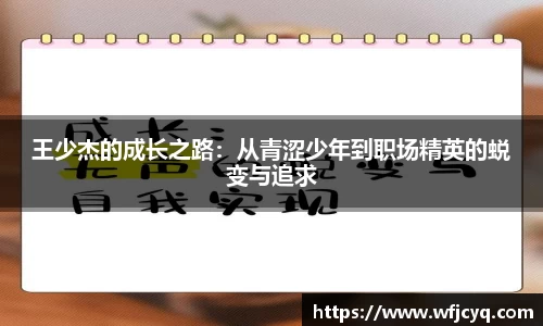 王少杰的成长之路：从青涩少年到职场精英的蜕变与追求