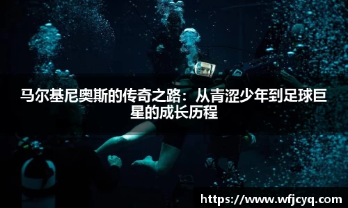 mk体育官网
